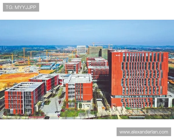 宝昂电子在国际市场的布局与合作,拓展全球电子产业链的影响力 宝昂电子在国际市场的布局与合作,拓展全球电子产业链的影响力