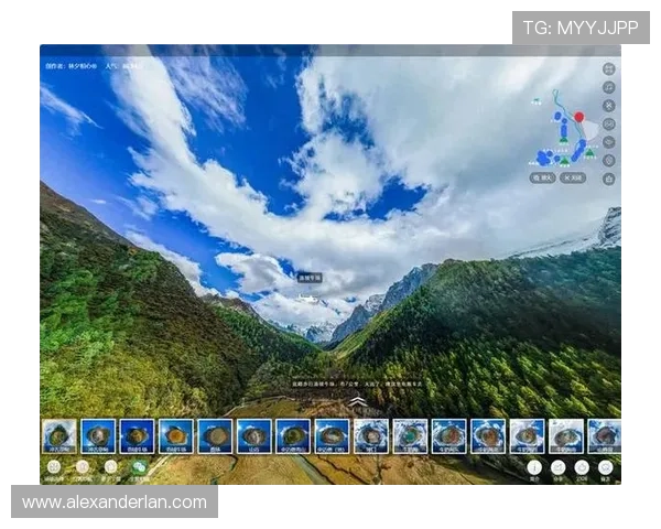 提升游戏体验的MG电子游戏技巧与策略，助你在激烈对战中脱颖而出