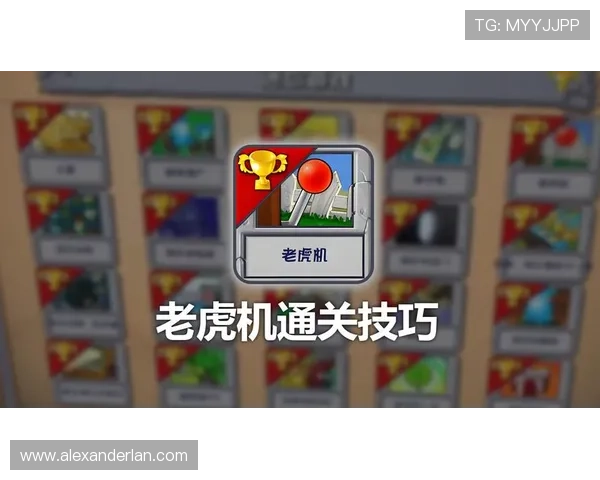 老虎机接线操作指南，详细介绍每个步骤的注意事项和技巧